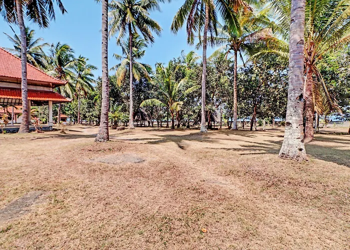 Capital O 93236 Hapel Negara Banyubiru